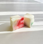 Coconut and Soy Wax Melts - Watermelon