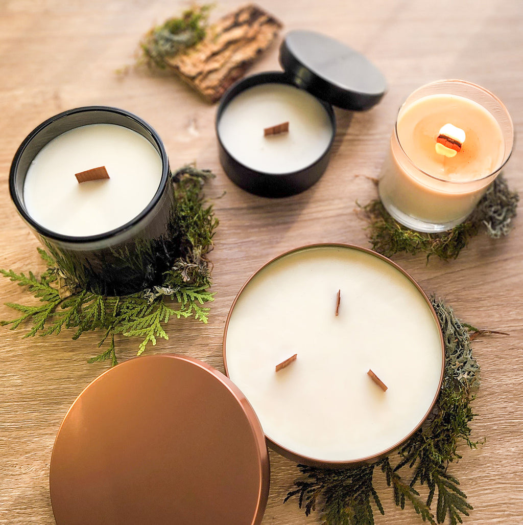 Plus Wooden Candle Wick SET Natural Wood Wick Candle Material Special Plus  Model Wooden Candle Wick 